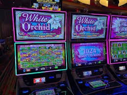 sultan slot App sultan slot App
